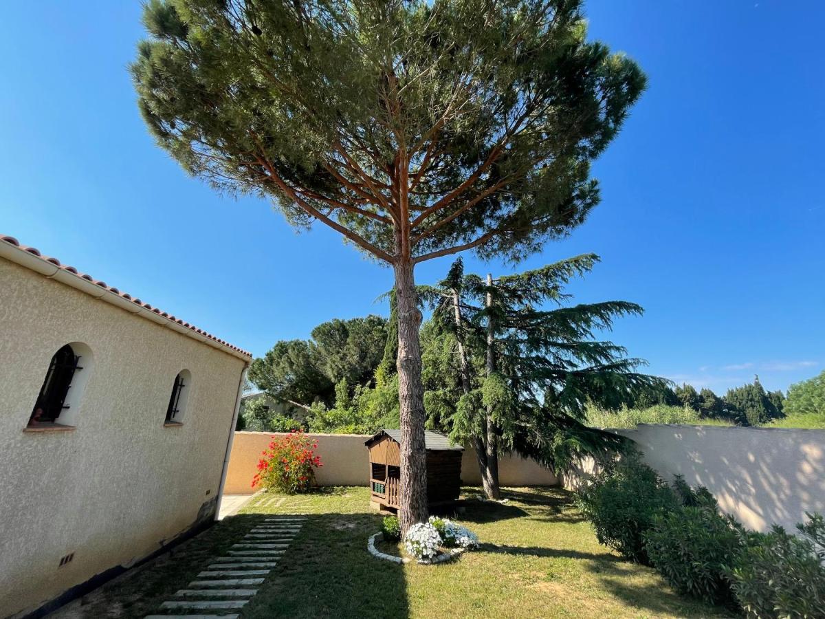 Annexe Des Pins - Studio Gite Avec Piscine & Climatisation Villeneuve-lès-Béziers Exterior foto